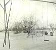 Some of our back yard, with the swing set and teeter totters plus some of our fruit trees.