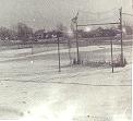 Part of our back yard, with the baseball foul ball catching fence.