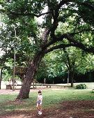 A view of the beautiful grounds of the church.