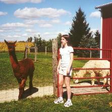 An Alpaca farm.