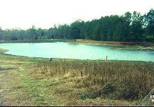 Our back yard had a pond.