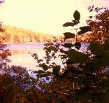 Picture of the spring fed lake at Circle Pines Cooperative.