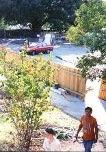 A view out of my window towards the parking lot and trees at the apartments.