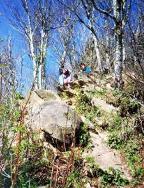 My kids are barely visable at the top of the hill.