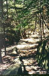 A path through some trees at Old Man's Cave.