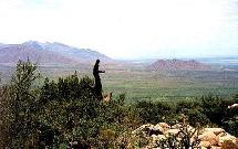 Pretty view from the Organ Mountains. 