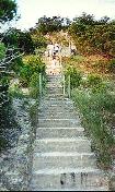 Steps leading up a large hill outside of Wimberly, Texas.